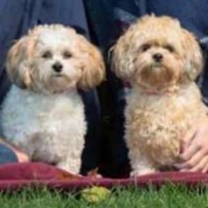 Meet your Posher, Brenda